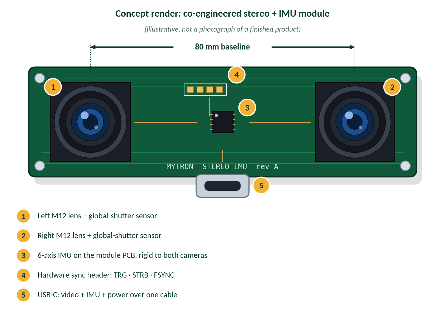 Annotated concept render of the stereo + IMU module: left and right M12 lenses with global-shutter sensors, 6-axis IMU on the module PCB, hardware sync header (TRG, STRB, FSYNC), and USB-C for video, IMU and power